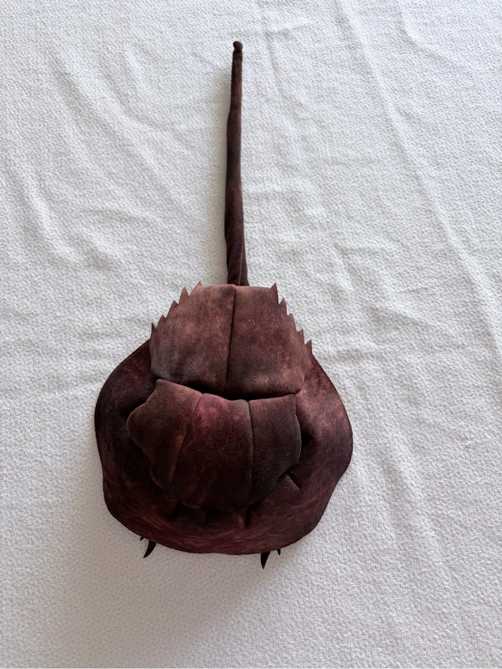 Folkmanis Horseshoe Crab Hand Puppet